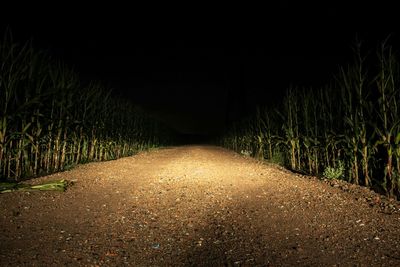 Surface level of road at night