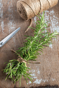 Close-up of fresh vegetables on table against plants