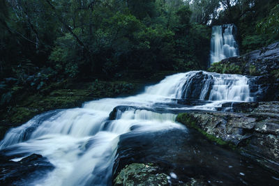 Scenic view of waterfall in forest