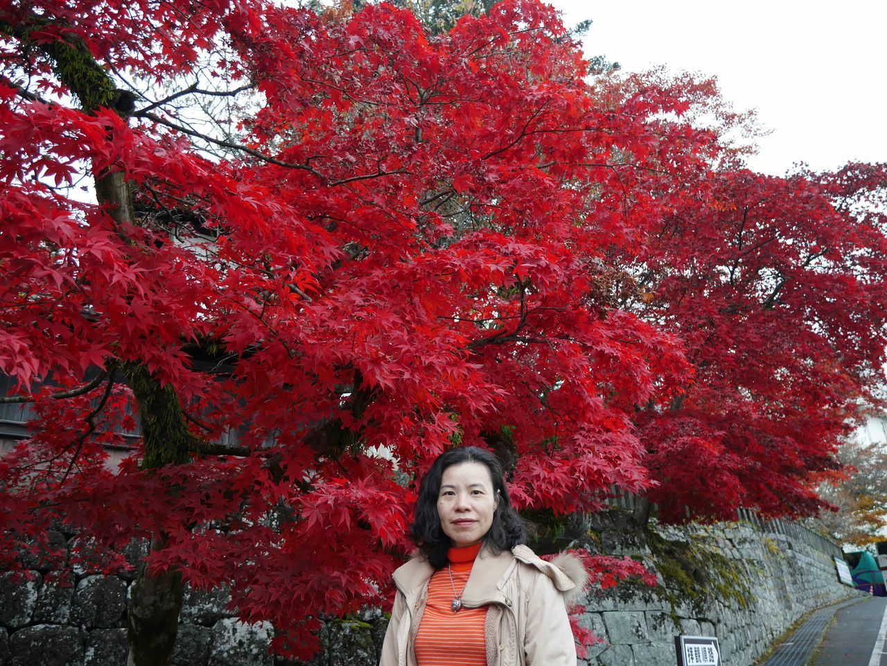 tree, lifestyles, leisure activity, casual clothing, person, red, young adult, standing, looking at camera, front view, autumn, season, smiling, park - man made space, young women, day, portrait, nature