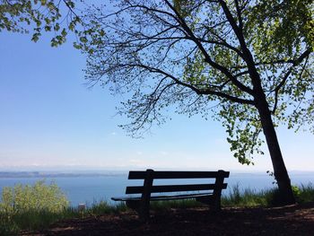 Empty bench in park