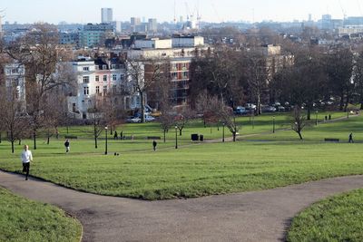 Trees in park against buildings in city