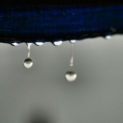 Close-up of water drops on spider web