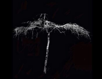 Close-up of illuminated lighting equipment against sky