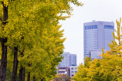 Trees in city against sky
