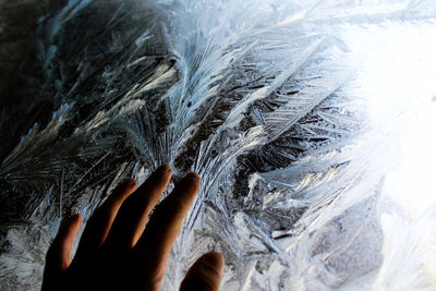 Close-up of hand against frozen ice