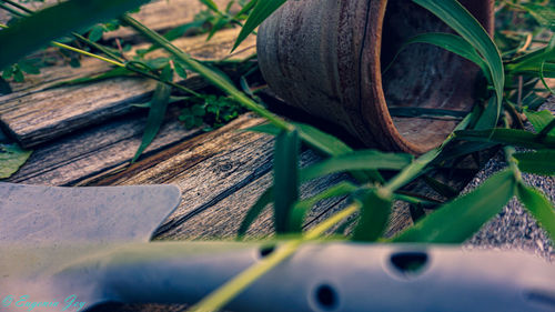 High angle view of wood on field