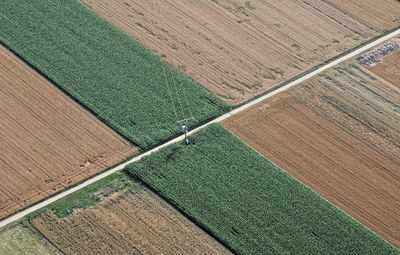 High angle view of farm