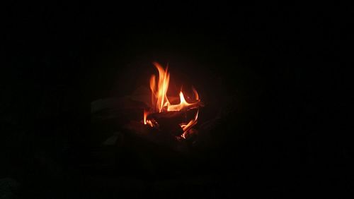 Close-up of bonfire at night