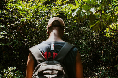 Rear view of man standing by tree in forest