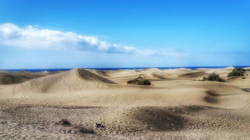 Scenic view of sea against blue sky