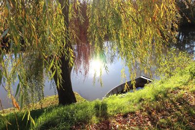 Scenic view of lake amidst trees