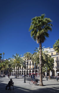 People by palm tree in city against clear sky