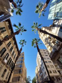 Low angle view of buildings in city