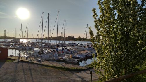 Boats moored at harbor against sky