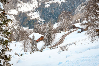snow