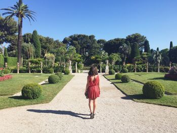 Rear view of woman walking on palm trees