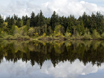 Reflection of trees in lake against sky