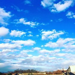 Low angle view of trees against blue sky