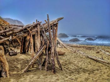 Driftwood on beach against clear sky