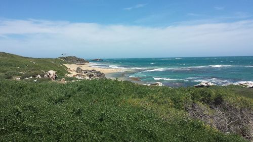 View of calm beach against blue sky