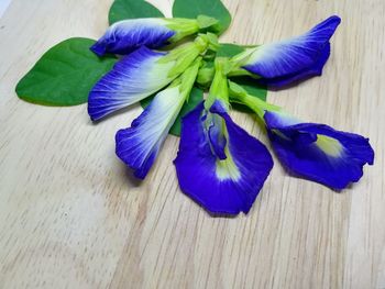 High angle view of purple flower on blue table