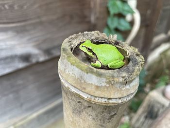 High angle view of fire hydrant