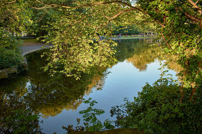 Reflection of trees on lake during autumn