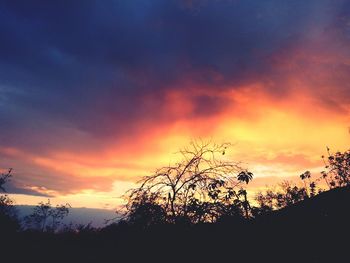 Low angle view of silhouette trees against dramatic sky