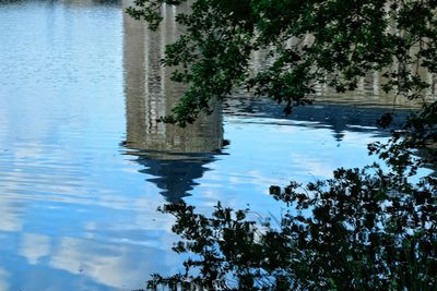 Reflection of tree in lake against sky