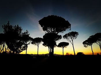 Silhouette trees on landscape against sky at sunset