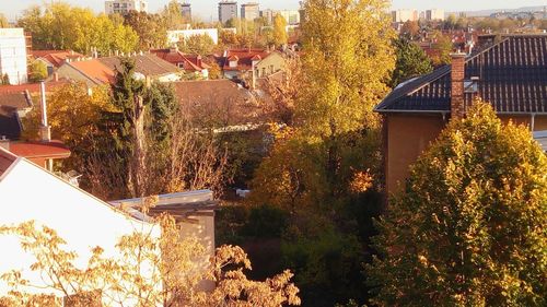 High angle view of townscape by trees in town