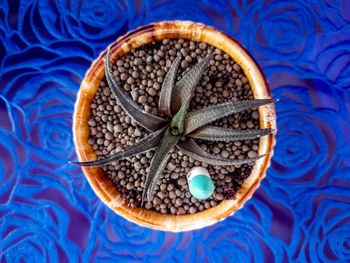 High angle view of blue bowl on table