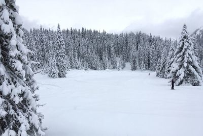 Snow covered landscape against sky