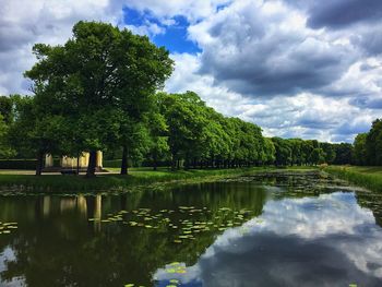 Scenic view of lake by trees against sky