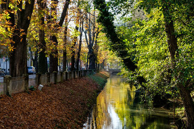 Canal by trees in city
