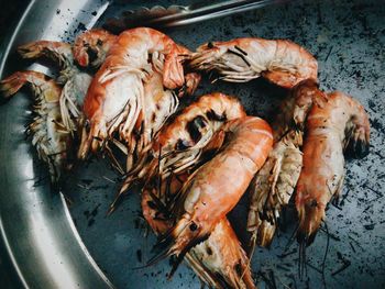 High angle view of prawns