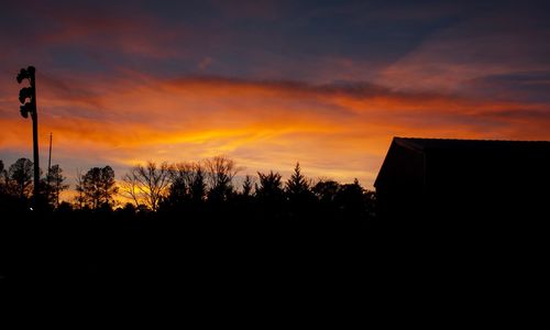 Silhouette trees against sky during sunset