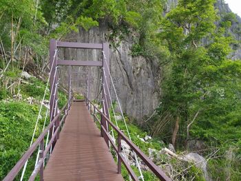 Footbridge amidst trees in forest