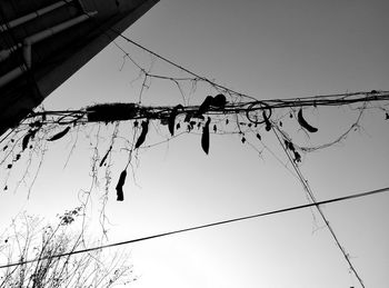 Low angle view of power lines