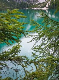Reflection of trees in lake against sky
