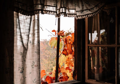 View through a window of idyllic old cabin, fall, autumn, nature, frame.