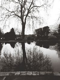 Reflection of bare trees in lake against sky