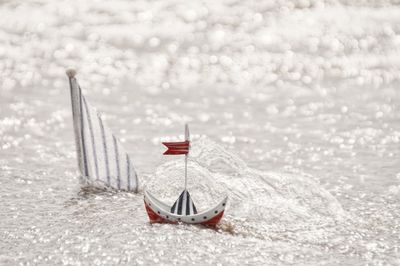 Sailboat sailing in sea