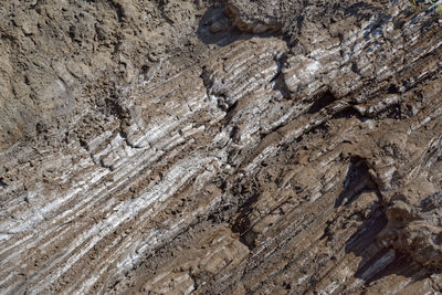 Full frame shot of mud rock