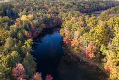 Reflection of trees in lake during autumn