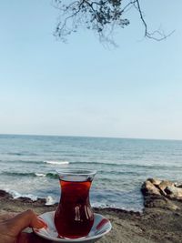 Hand holding drink by sea against sky
