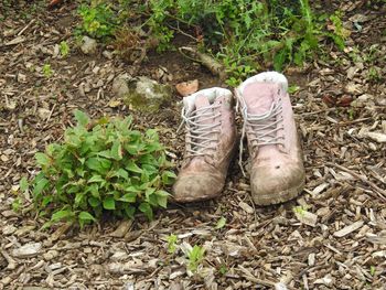 High angle view of shoes on field