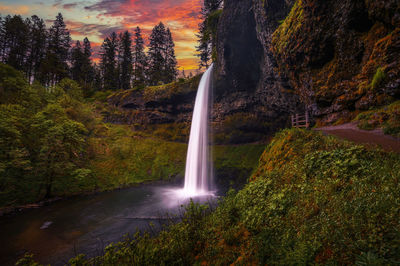 Scenic view of waterfall in forest