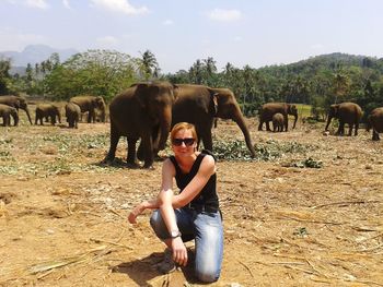Portrait of woman in sunglasses with elephants kneeling on field